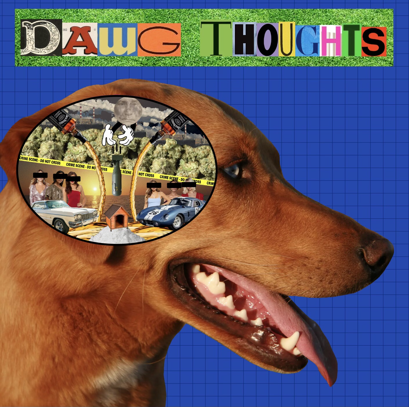 dawgthoughts