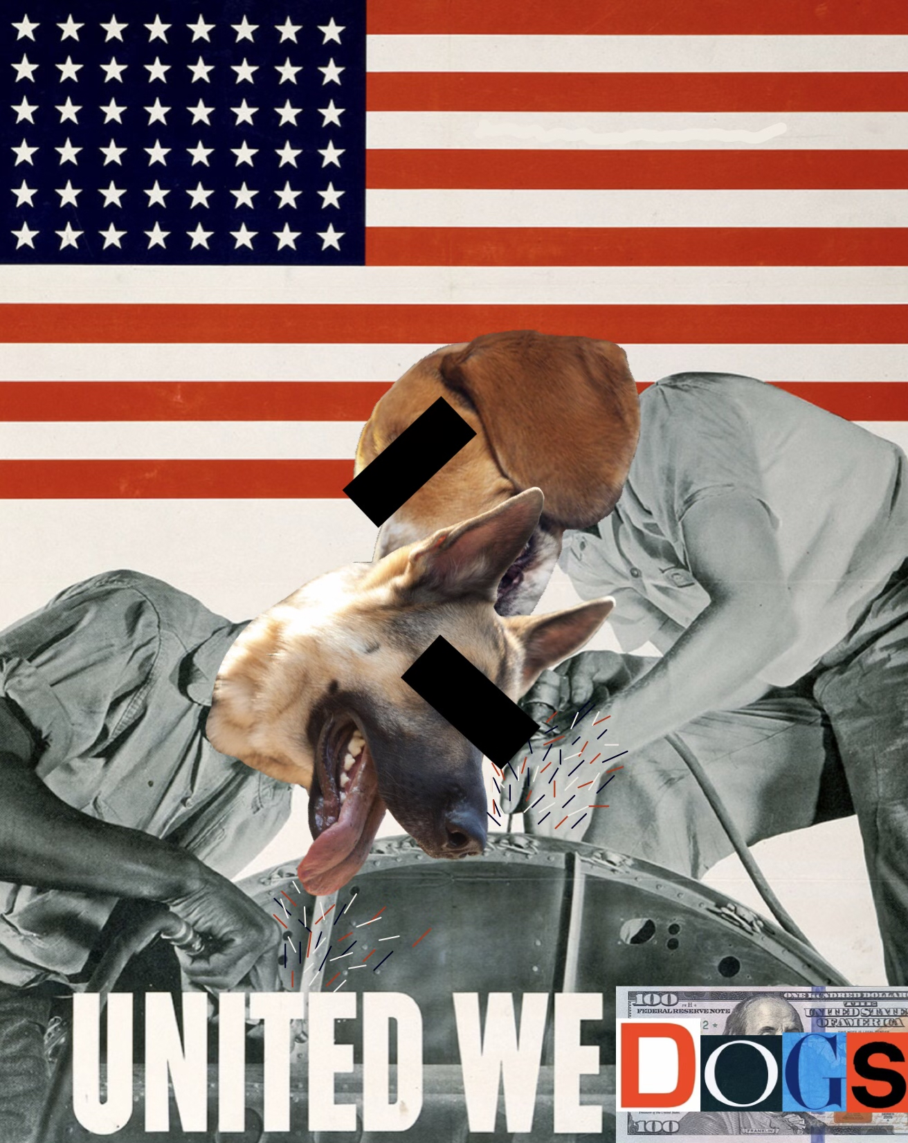 uniteddogs